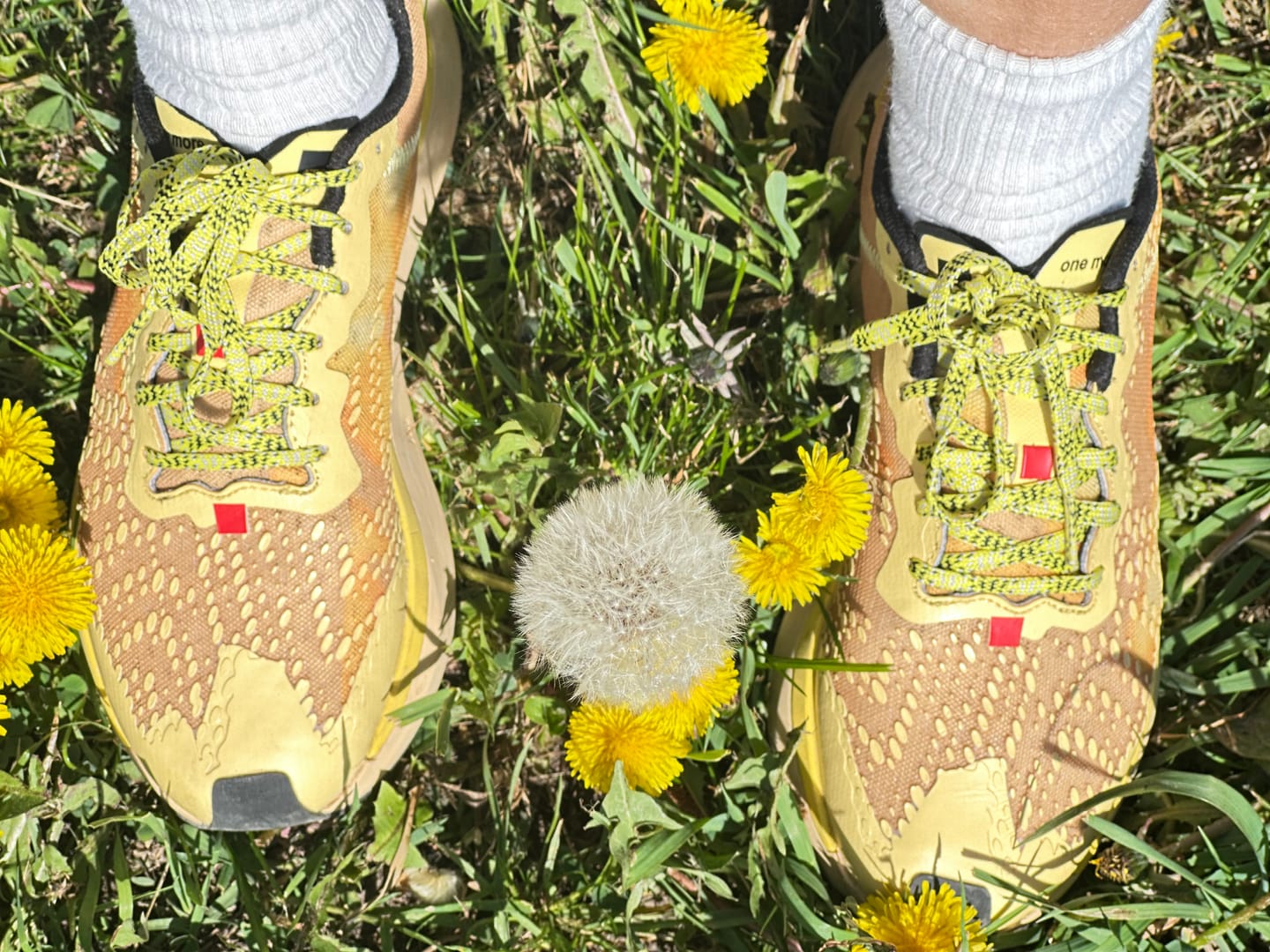 Customer photo review of one more, yellow personality.