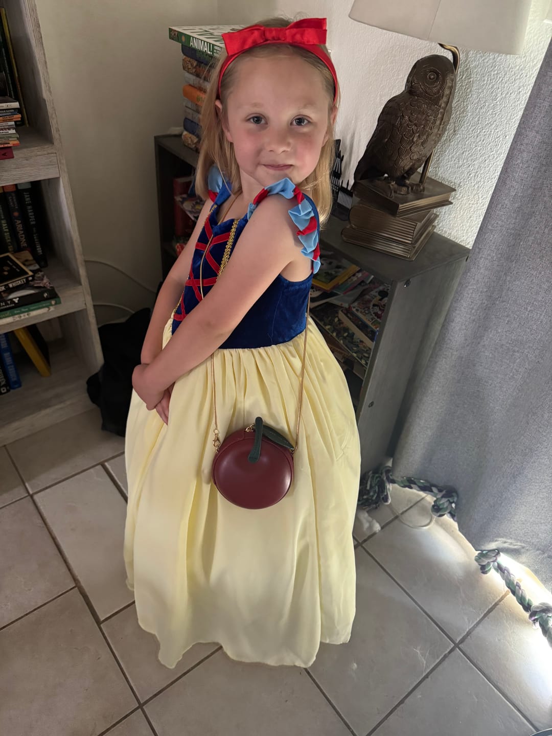 Customer photo review of Portrait Collection Snow White Gown