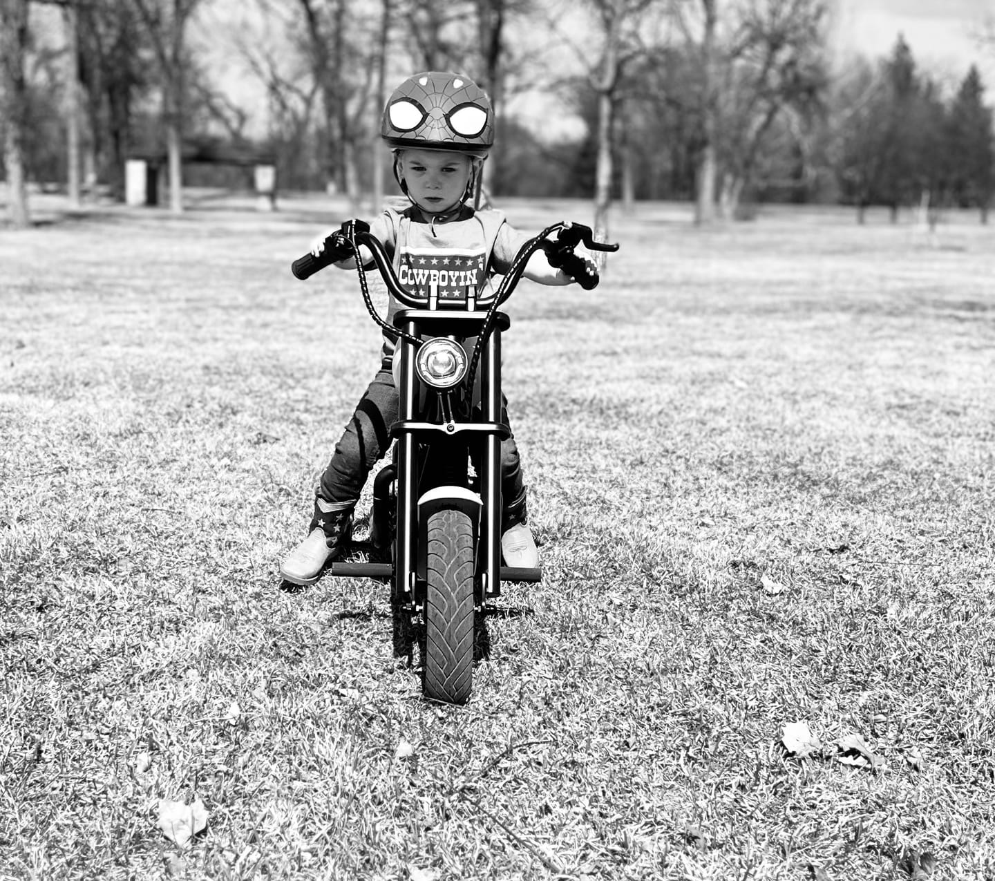 Customer photo review of Challenger 12 Plus