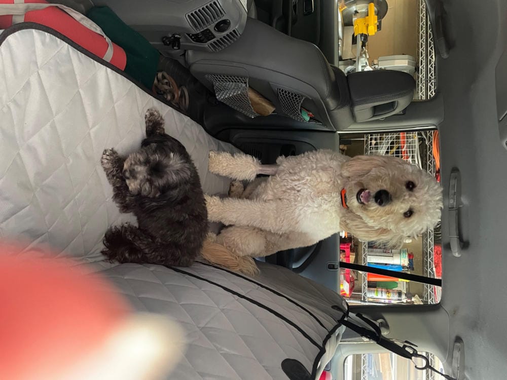 Customer photo review of Rear Seat Cover for Fold Down Seats - No Hammock - Regular