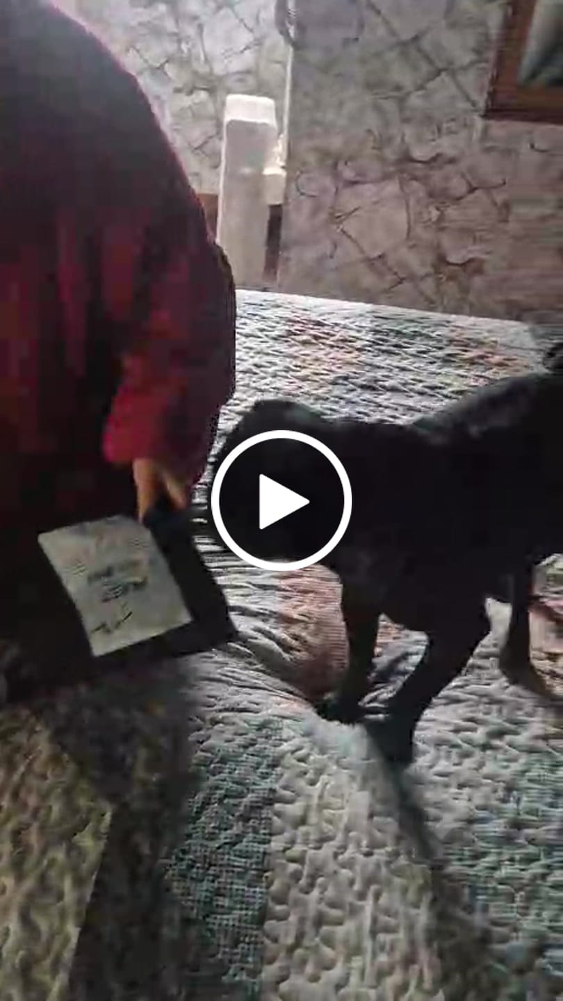 Customer video review of Patas de pollo