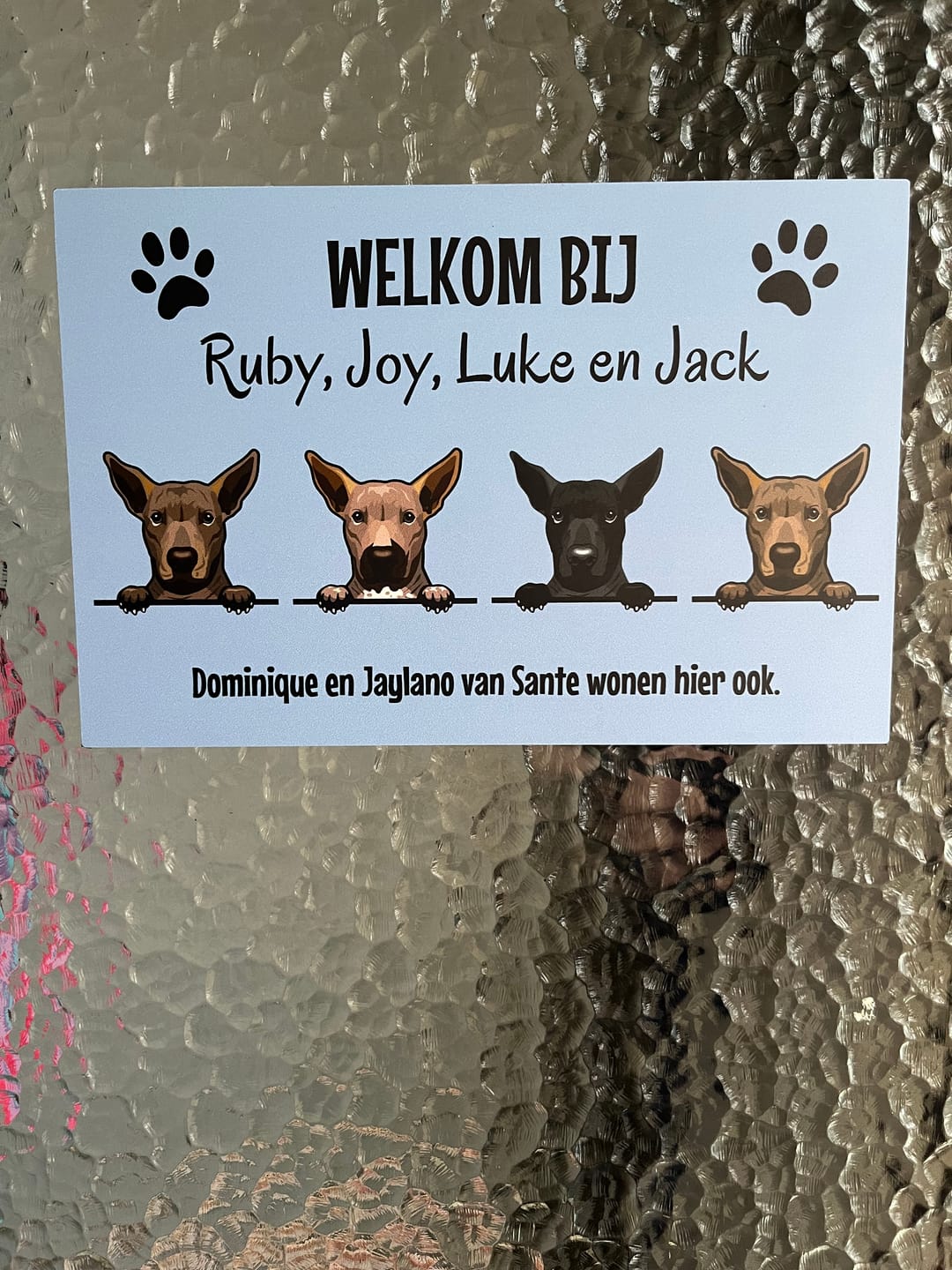 Customer photo review of Spionerende huisdieren- Gepersonaliseerde deurbord