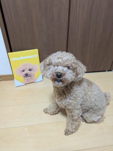 Customer photo review of Petcanvaオーダーメイド ペット似顔絵