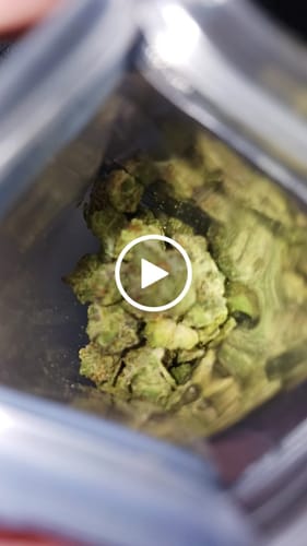 Customer video review of FREE SAMPLE (with code) THCa Flower