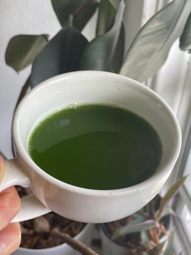 Customer photo review of Matcha Tea Sampler (21 pack)