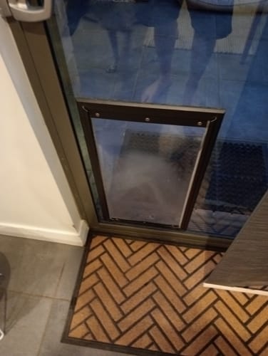 Customer photo review of Aluminium Premium Pet Door [Size: large] [Colour: Black]