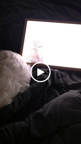 Customer video review of A O T Series LED Light Painting Anime Photo Frame Wall Art