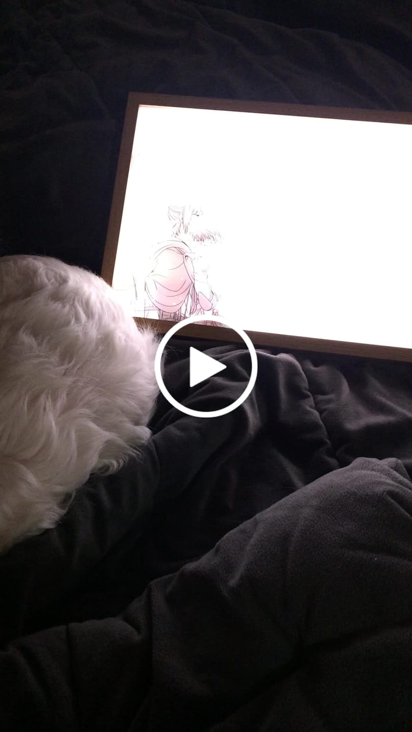 Customer video review of A O T Series LED Light Painting Anime Photo Frame Wall Art