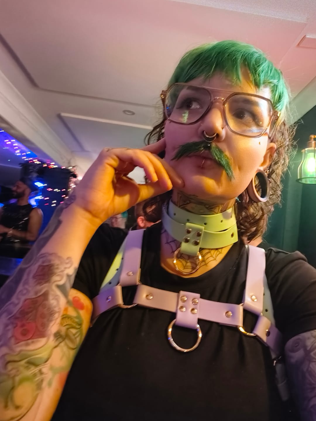 Customer photo review of COOPER CHEST HARNESS