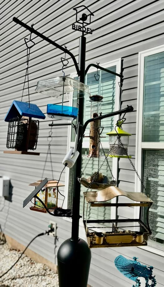 Customer photo review of Birdfy Pole - Bird Feeder Pole