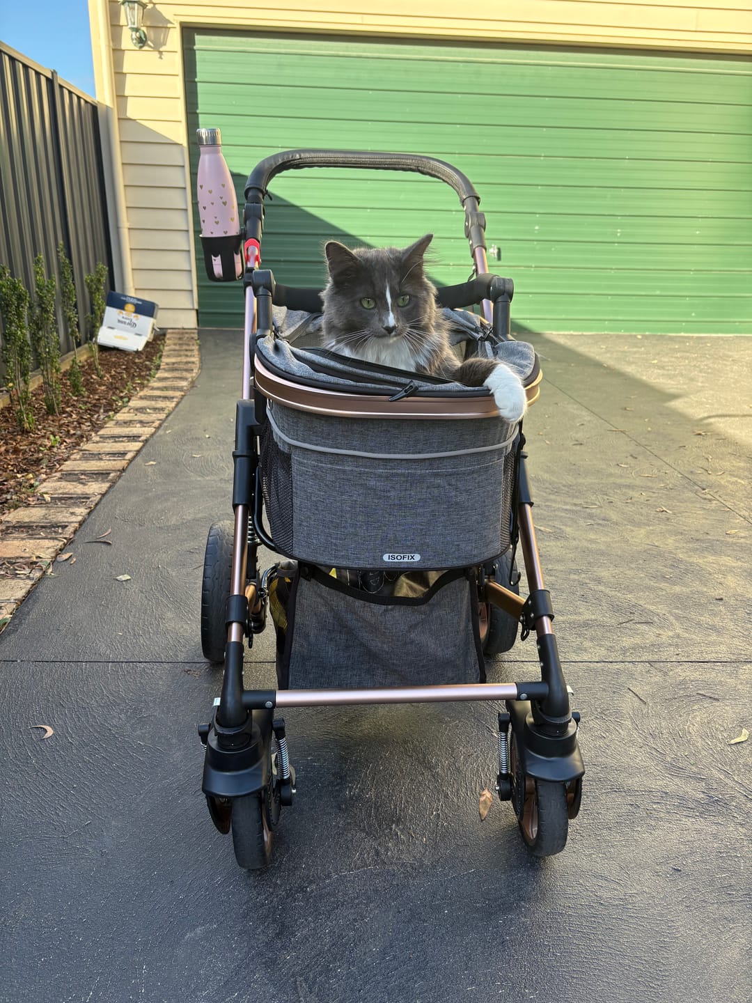 Customer photo review of Pet Stroller with ISOFIX Car Carrier [Frame Colour: Rose Gold] [Material Colour: Grey]