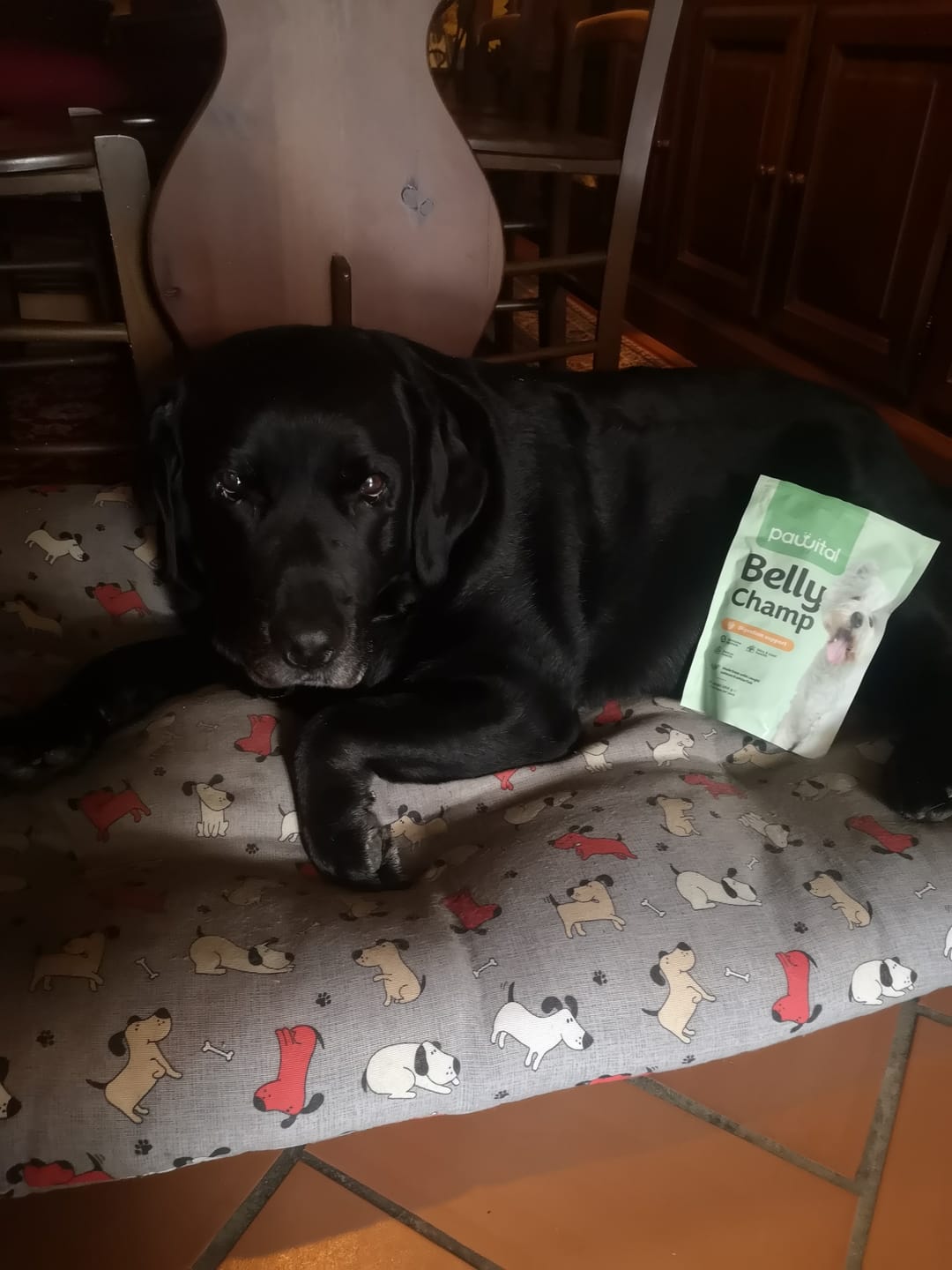 Customer photo review of Belly Champ