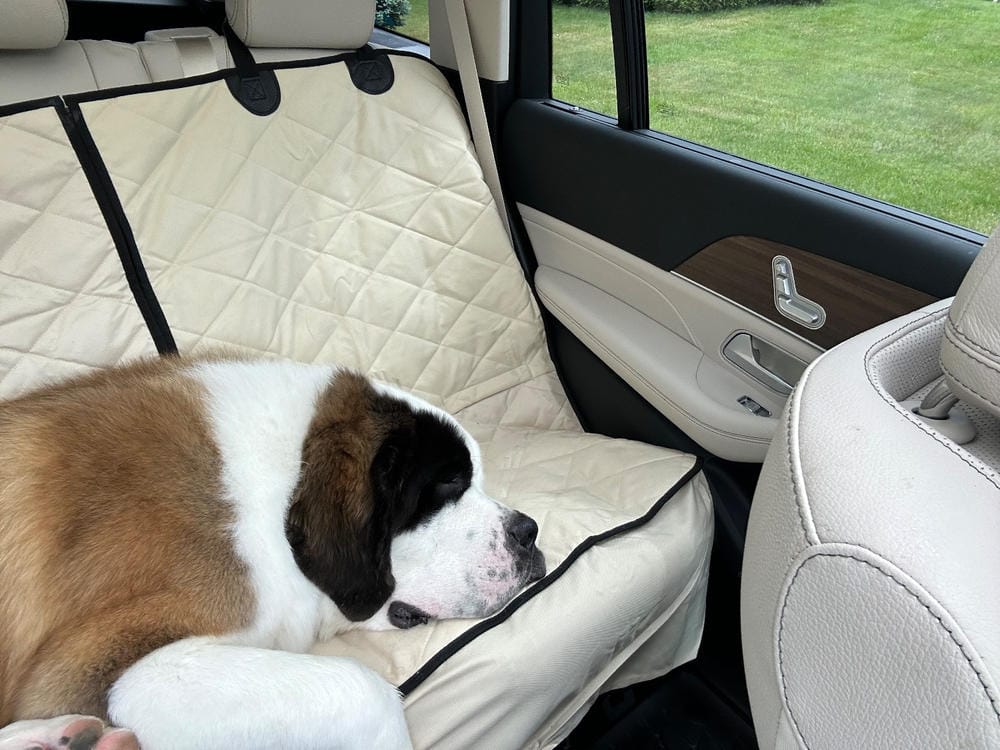 Customer photo review of Rear Seat Cover for Fold Down Seats - No Hammock - XL