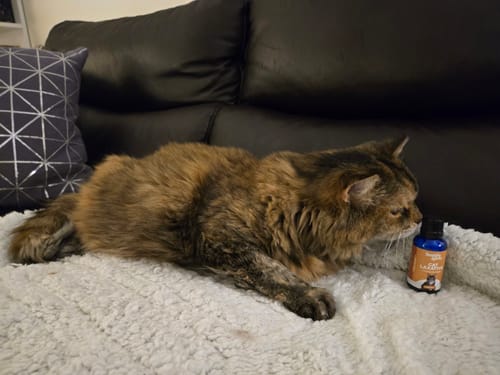 Customer photo review of Cat Laxative & Constipation Remedy