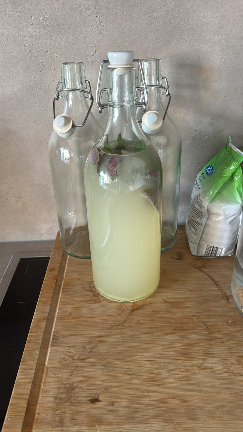 Customer photo review of BIO Wasserkefir-Kickstart: Potente Japankristalle (20g)