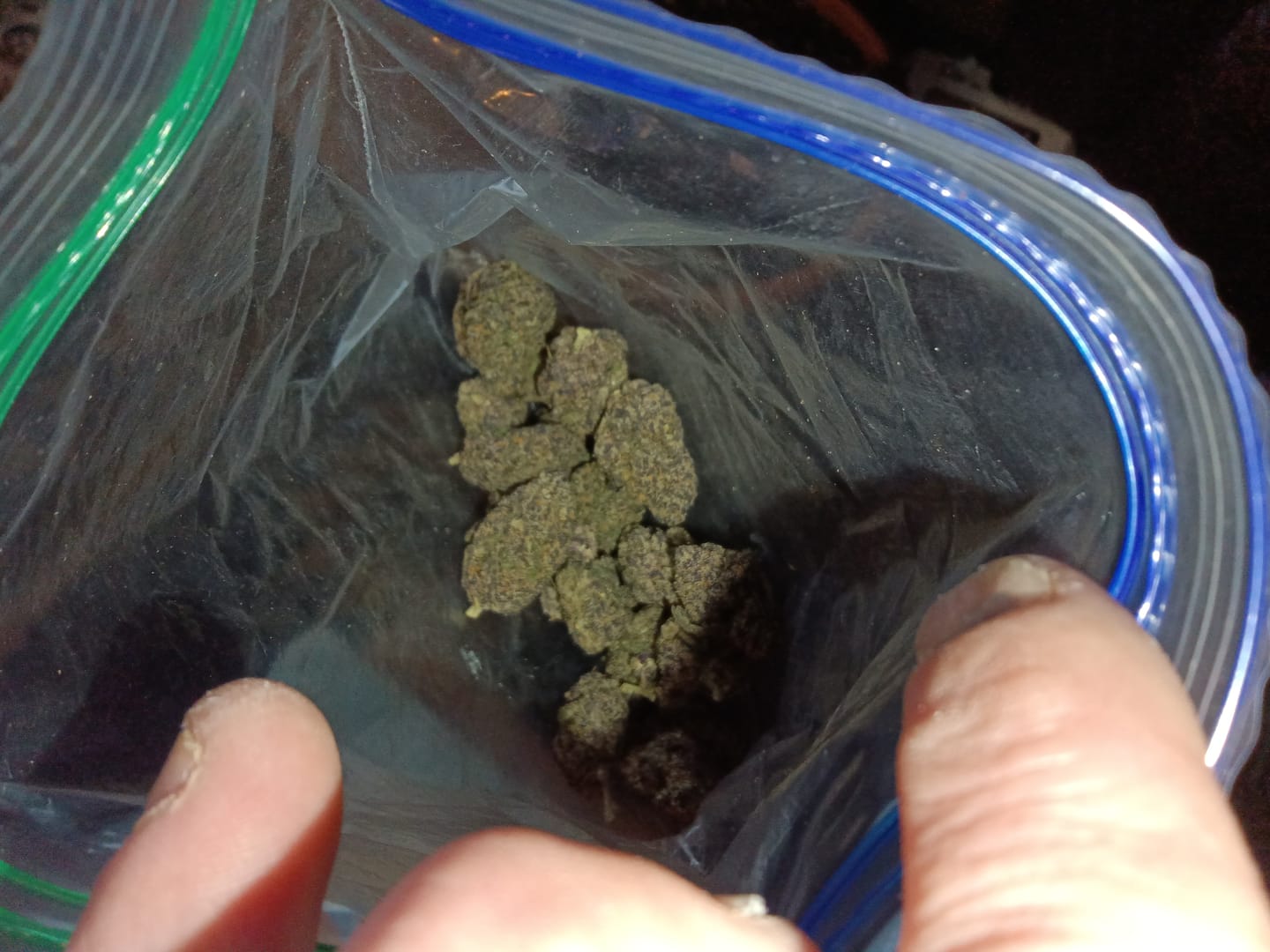 Customer photo review of Permanant Chimera Exotic THCA