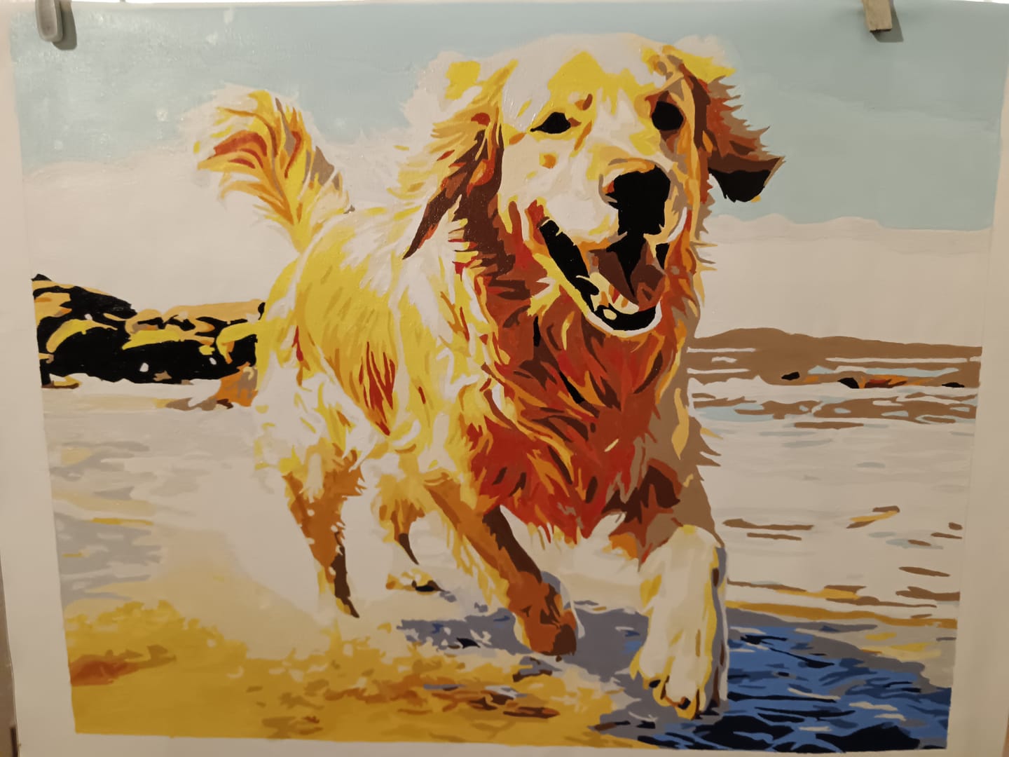 Customer photo review of Beach Day