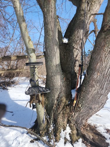 Customer photo review of THE .5 HANG-ON