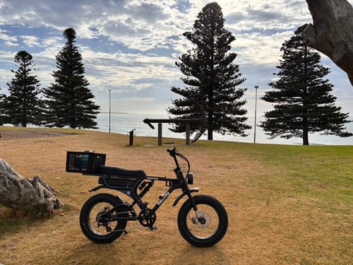 Customer photo review of Wooden Foot Pegs - Scrambler