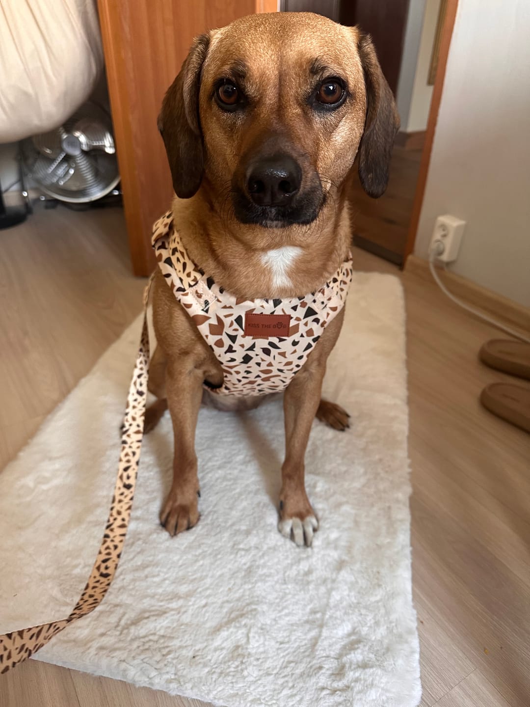 Customer photo review of Smycz miejska "Beige Terrazzo" - złote okucia