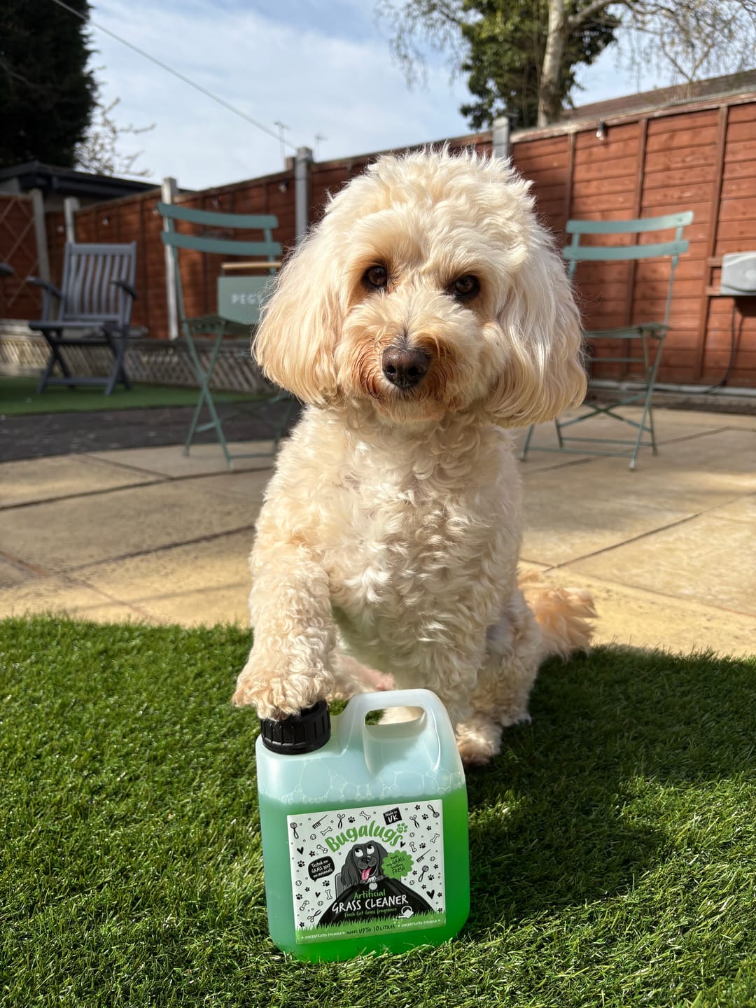 Customer photo review of Artificial Grass Cleaner in Fresh Cut Grass Fragrance