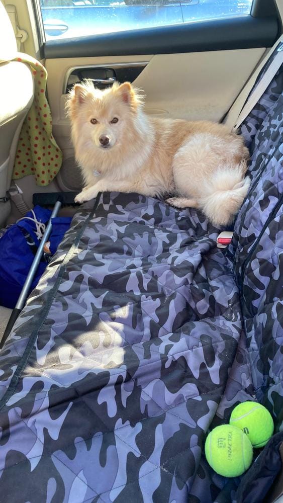 Customer photo review of Rear Seat Cover for Fold Down Seats - No Hammock - XL