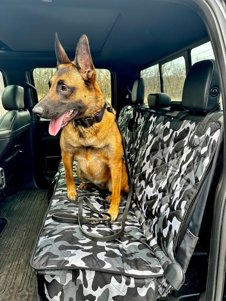 Customer photo review of Rear Seat Cover for Fold Down Seats - No Hammock - XL
