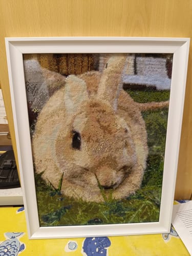 Customer photo review of Kreuzstich - Dein Wunschmotiv