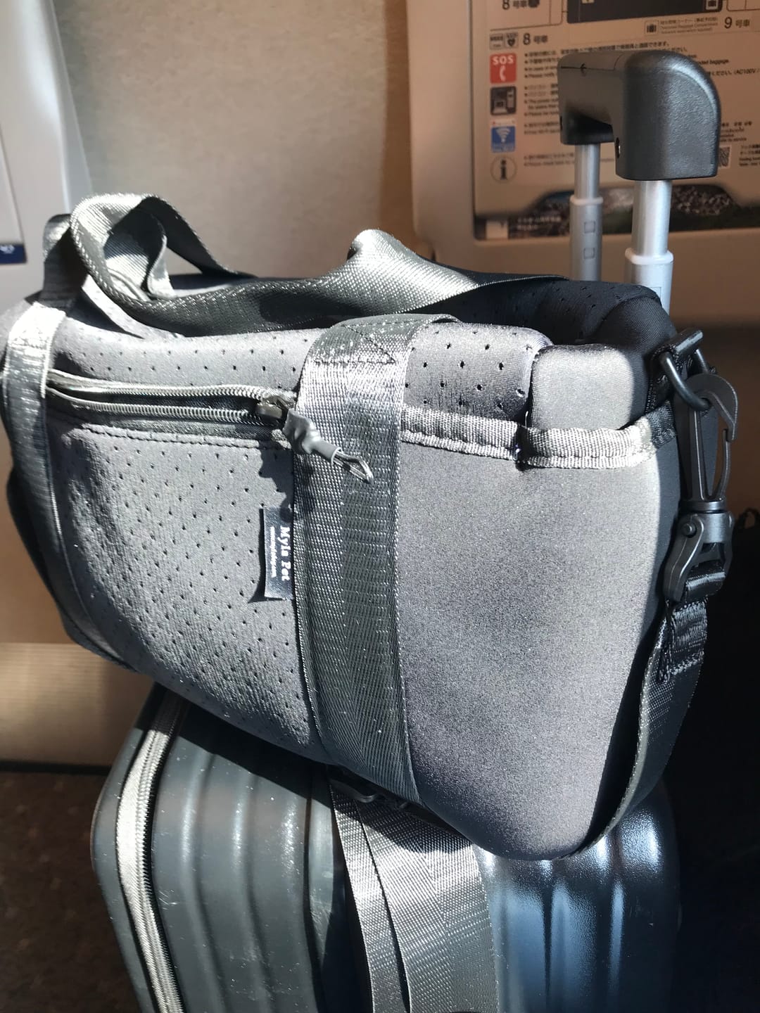 Customer photo review of マイラ 犬のお散歩バッグ