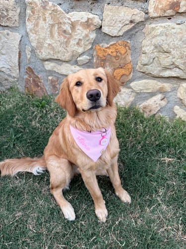 Customer photo review of Custom Embroidered Bandana