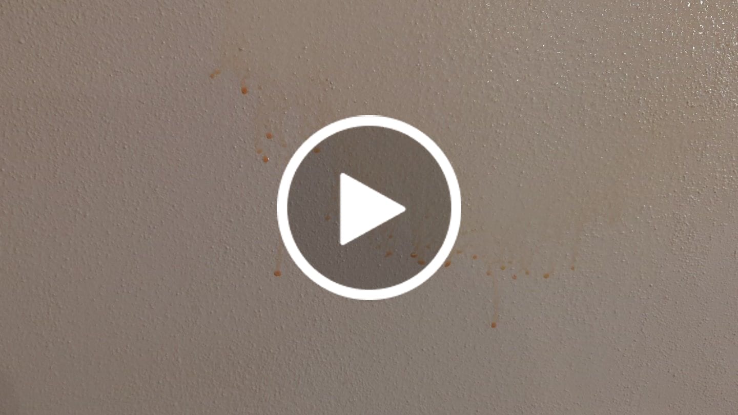 Customer video review of 5 Minute CleanWalls Bundle (CleanWalls Tool, Spray, & Baseboard Duster)