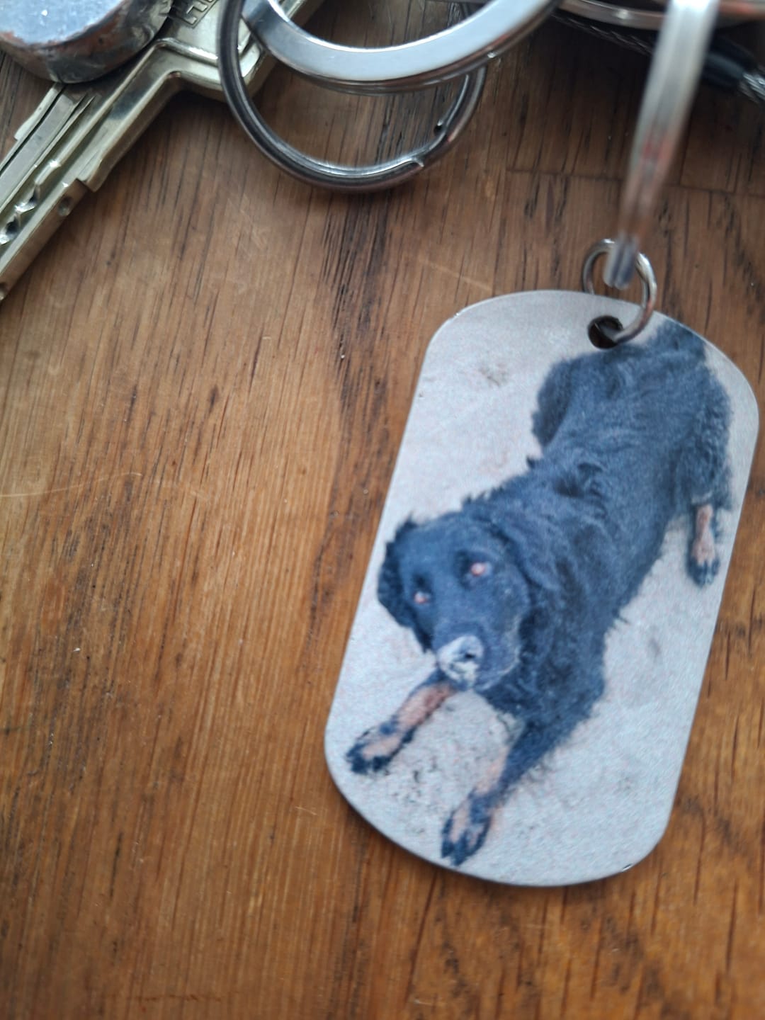 Customer photo review of Mein Zuhause - Individueller Dog Tag Schlüsselanhänger
