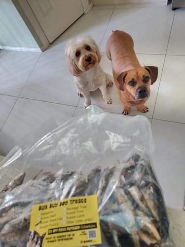 Customer photo review of Fresh Ocean Sardines