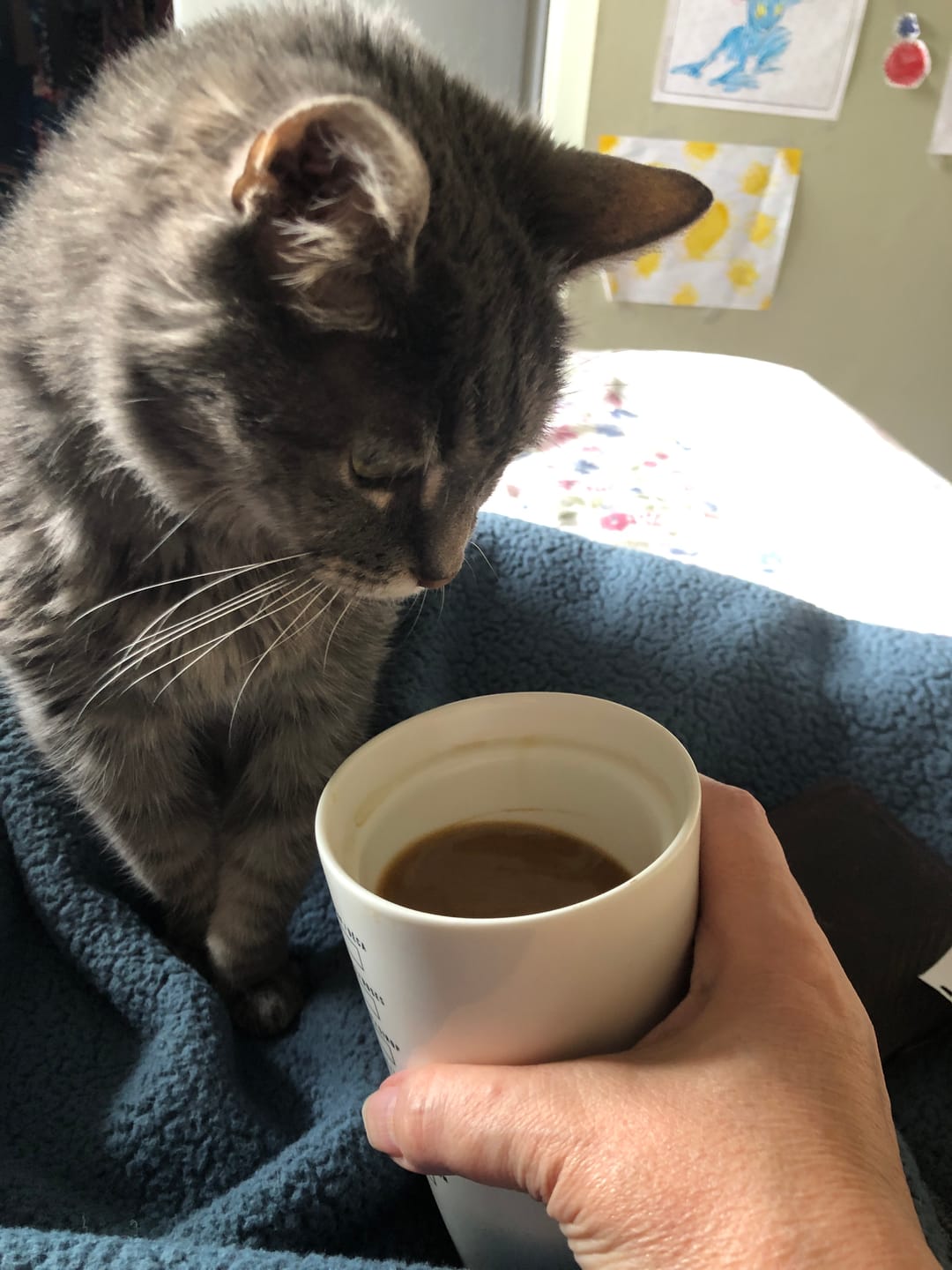 Customer photo review of Premium Monthly Coffee Club -Roaster's Choice