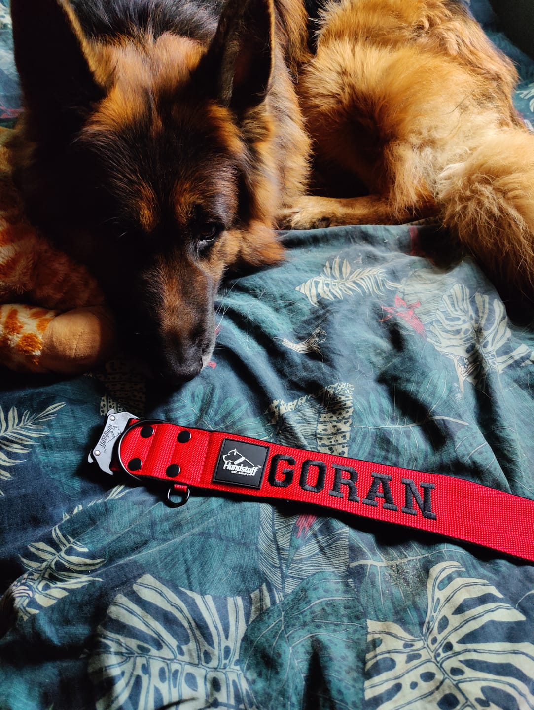 Customer photo review of Smycz przepinana dla psa z imieniem - Personal Multi Leash
