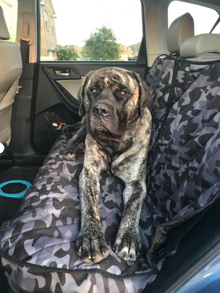 Customer photo review of Rear Seat Cover for Fold Down Seats - No Hammock - XL