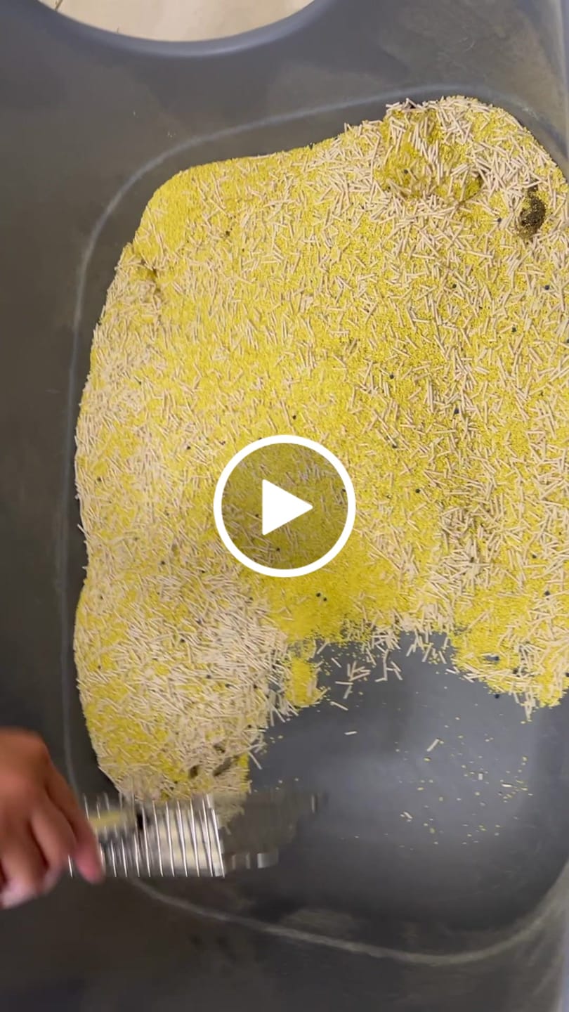 Customer video review of 【寄倉】五吉貓貓砂 2.5kg 單包兌換卷