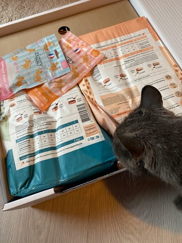 Avis photo d'un client sur Croquettes Chat Stérilisé Sans Céréales - Saumon