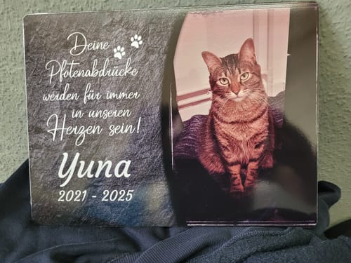 Customer photo review of Katzen Gedenktafel mit Foto & Spruch (UV- & Wetterfest)
