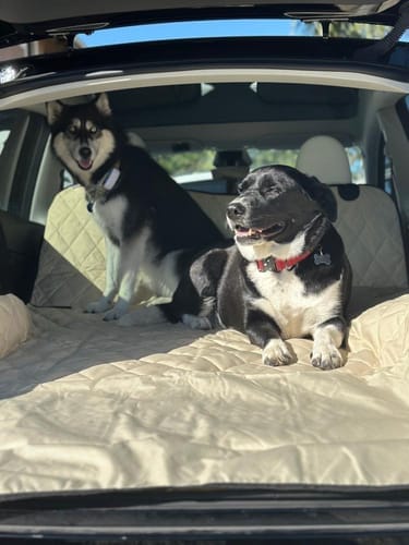Customer photo review of SUV Cargo Liner for Fold Down Seats - XL