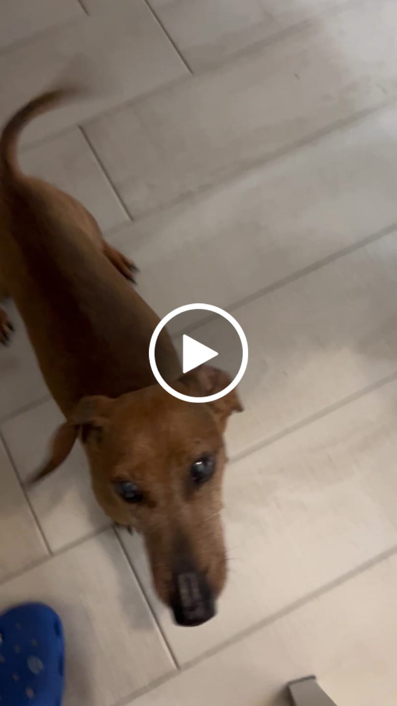 Customer video review of Power Move