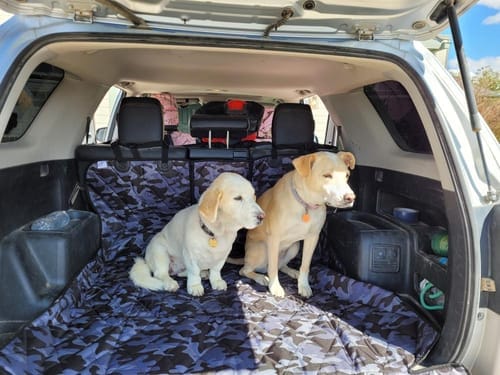 Customer photo review of SUV Cargo Liner for Fold Down Seats - Large