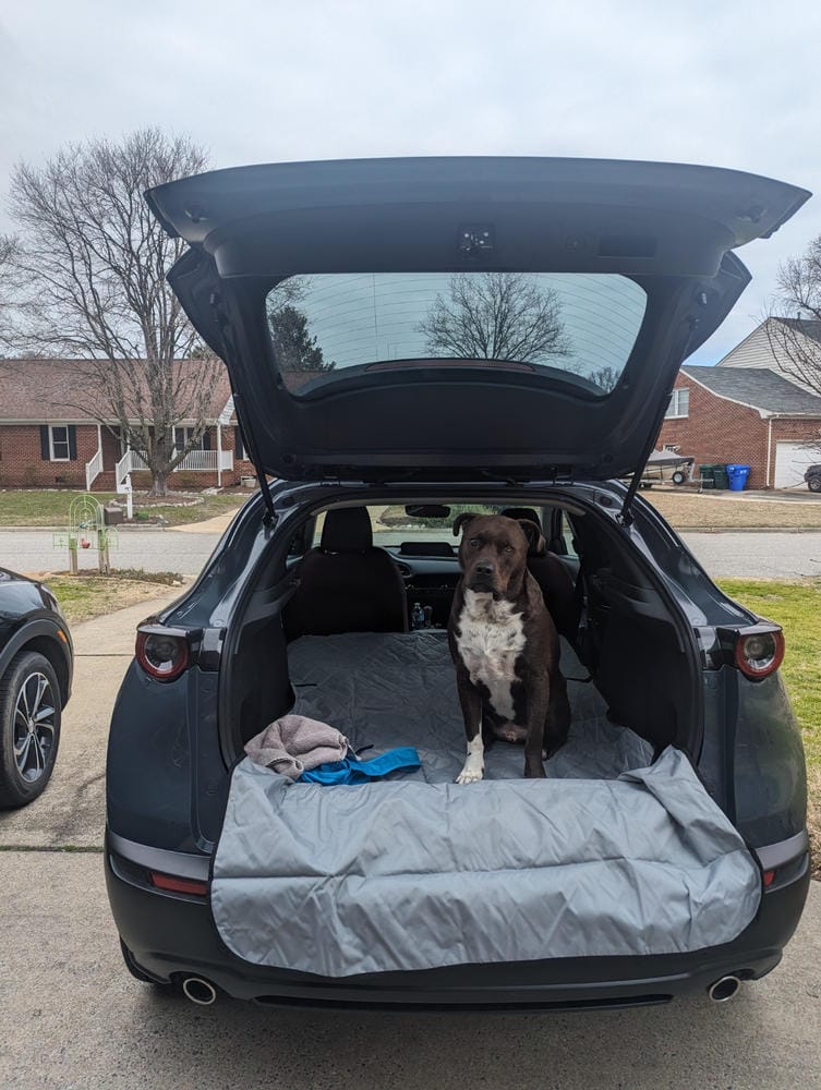 Customer photo review of Cargo Liner for SUVs - Large