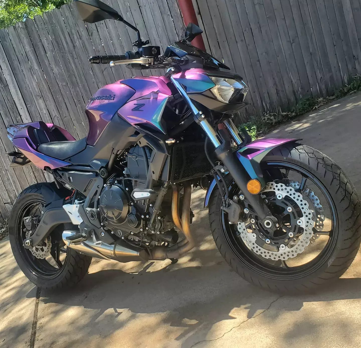 Customer photo review of Raven Super Colorshift Spray Can Midcoat