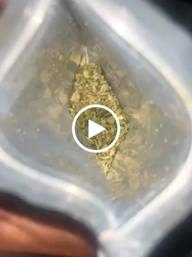 Customer video review of Exotic Shake