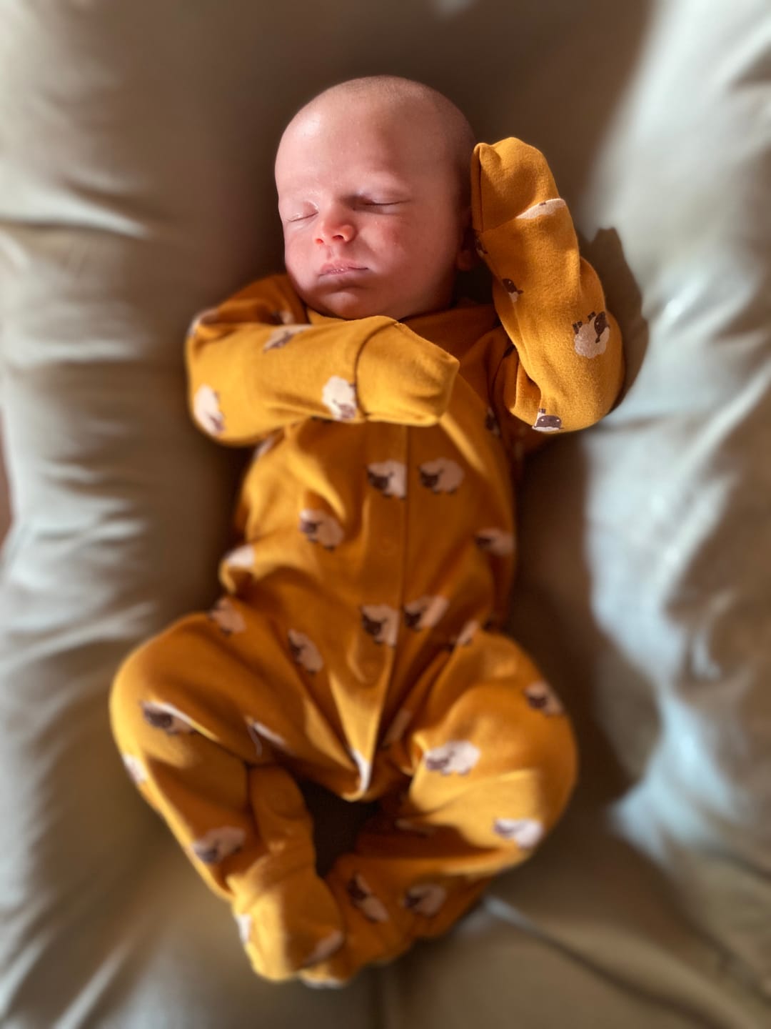 Customer photo review of Counting Sheep Organic Babygrow