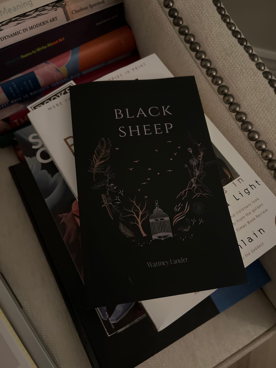 Customer photo review of Black Sheep