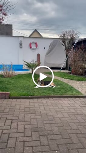 Customer video review of Relax Time