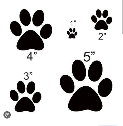 Customer photo review of Relax Time