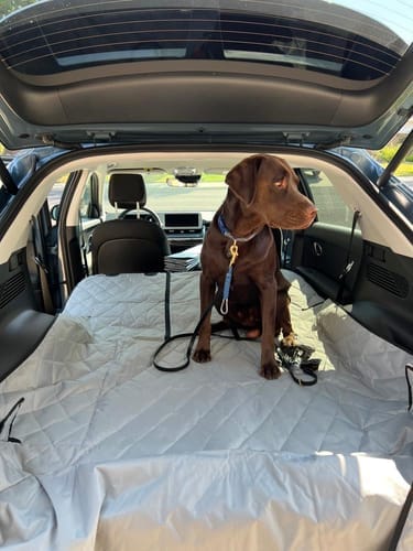 Customer photo review of SUV Cargo Liner for Fold Down Seats - Large